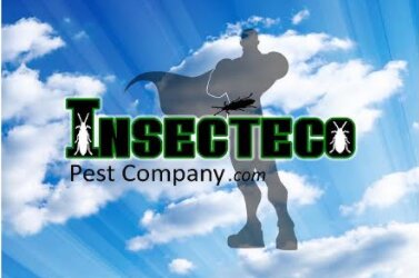 Storefront of Insecteco Pest Company, Ocean Springs.