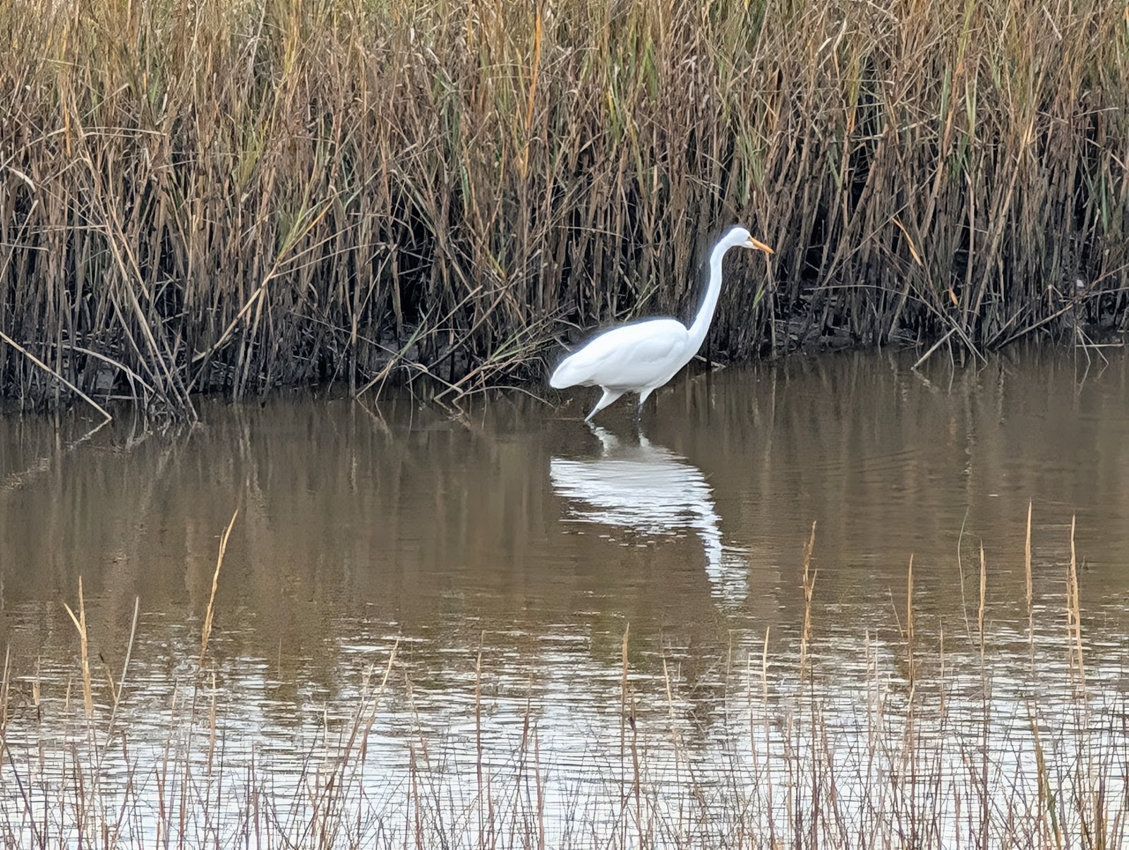 Davis Bayou, Gulf Islands National Seashore.